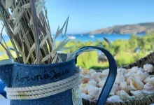 &delta;&omega;&mu;ά&tau;&iota;&alpha; Maganas &Alpha;&sigma;&tau;&upsilon;&pi;ά&lambda;&alpha;&iota;&alpha;